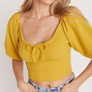 Backyard Roses Yellow Top